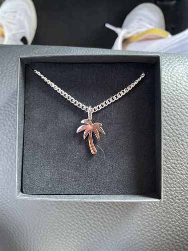 Coole Palme