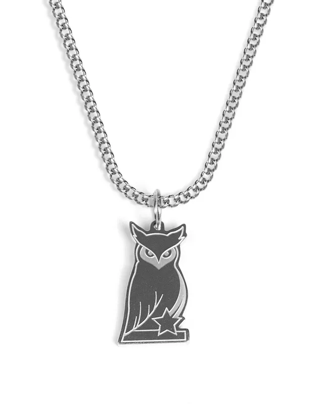 unshinebar-owl-kette-silber-eule-anh-nger-edelstahl image 1