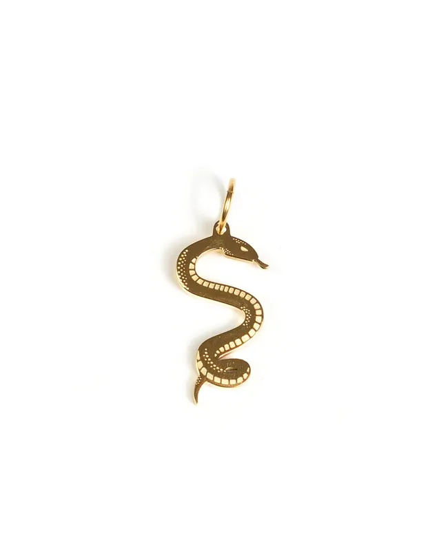 unshinebar-snake-anh-nger-silber-edelstahl-2-7cm image 1