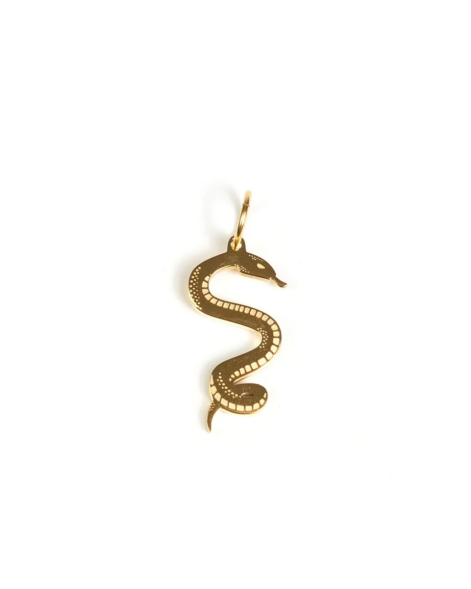 unshinebar-snake-anh-nger-silber-edelstahl-2-7cm image 1