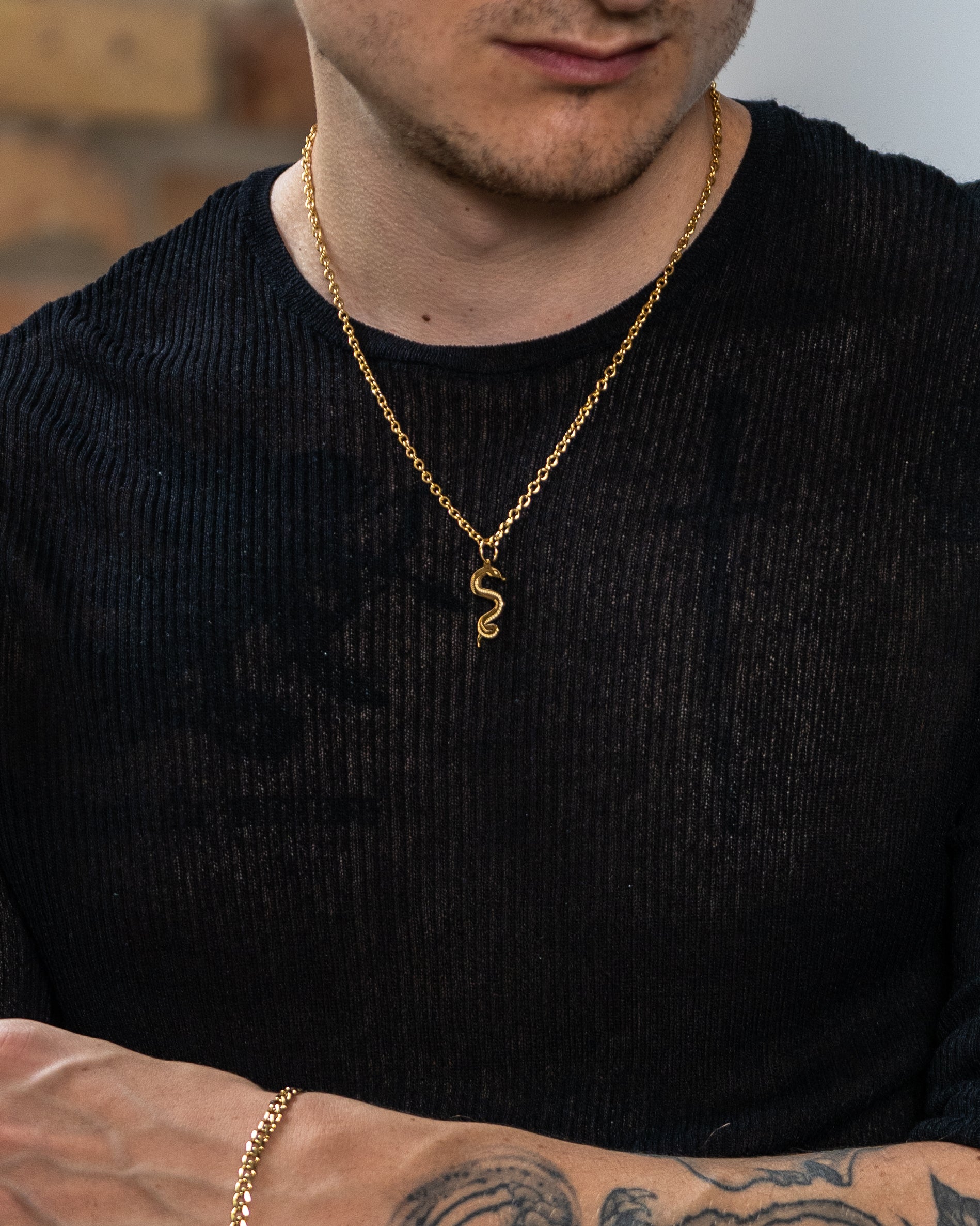 unshinebar-snake-necklace-kette-gold-schlange-45cm image 4