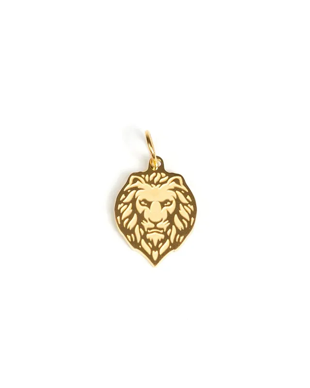 unshinebar-lion-anh-nger-silber-pendant-edelstahl image 1